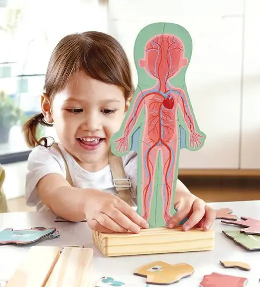 Hape - Human Body Magnetic Puzzle