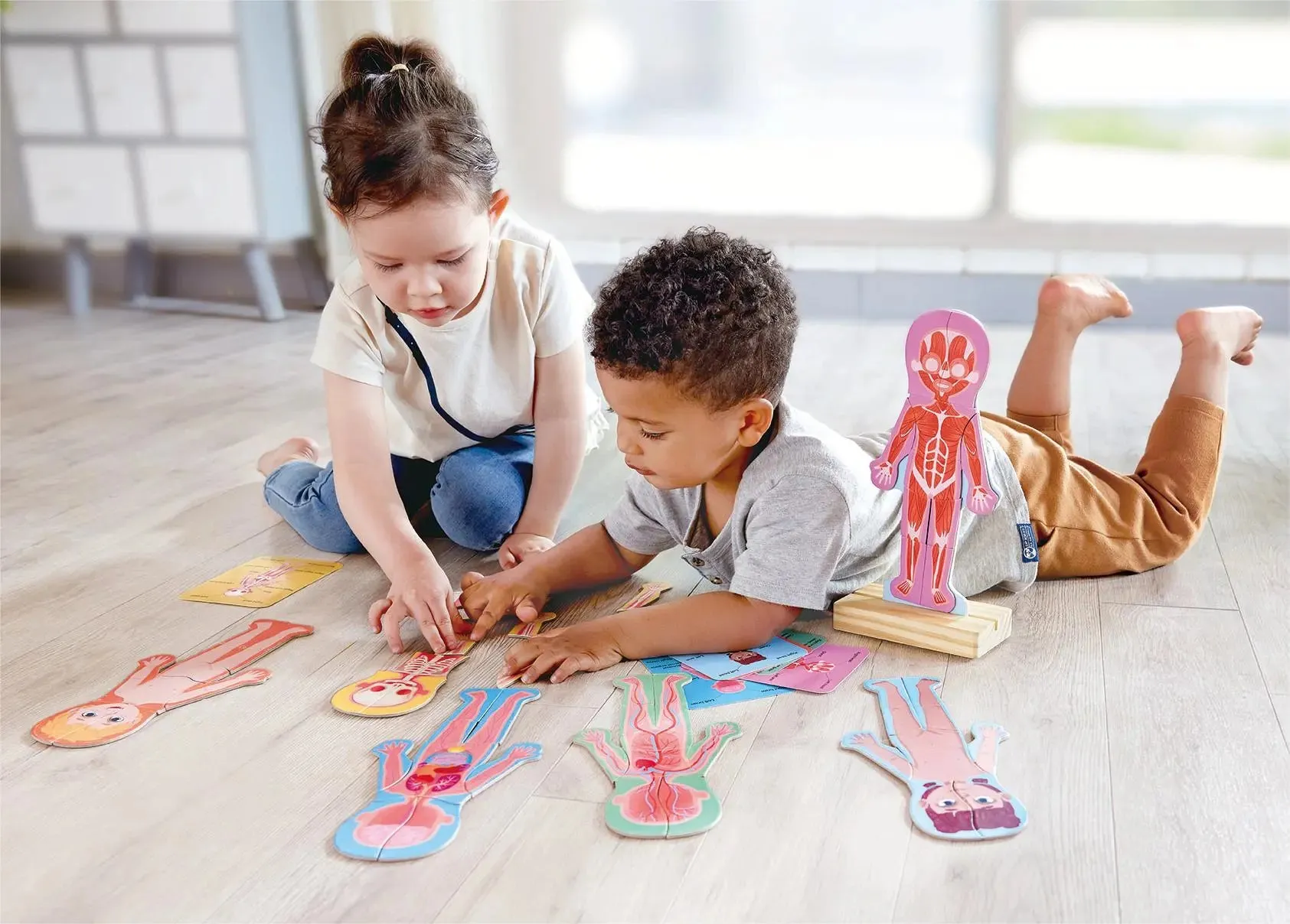 Hape - Human Body Magnetic Puzzle