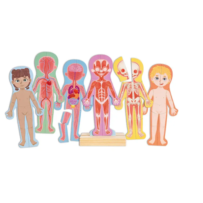 Hape - Human Body Magnetic Puzzle