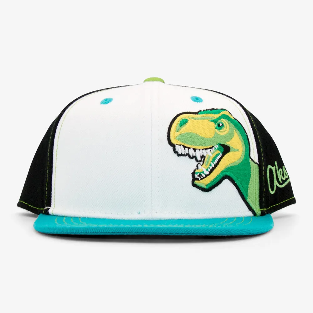 Kids T-Rex Dinosaur Flatbill Snapback Hat