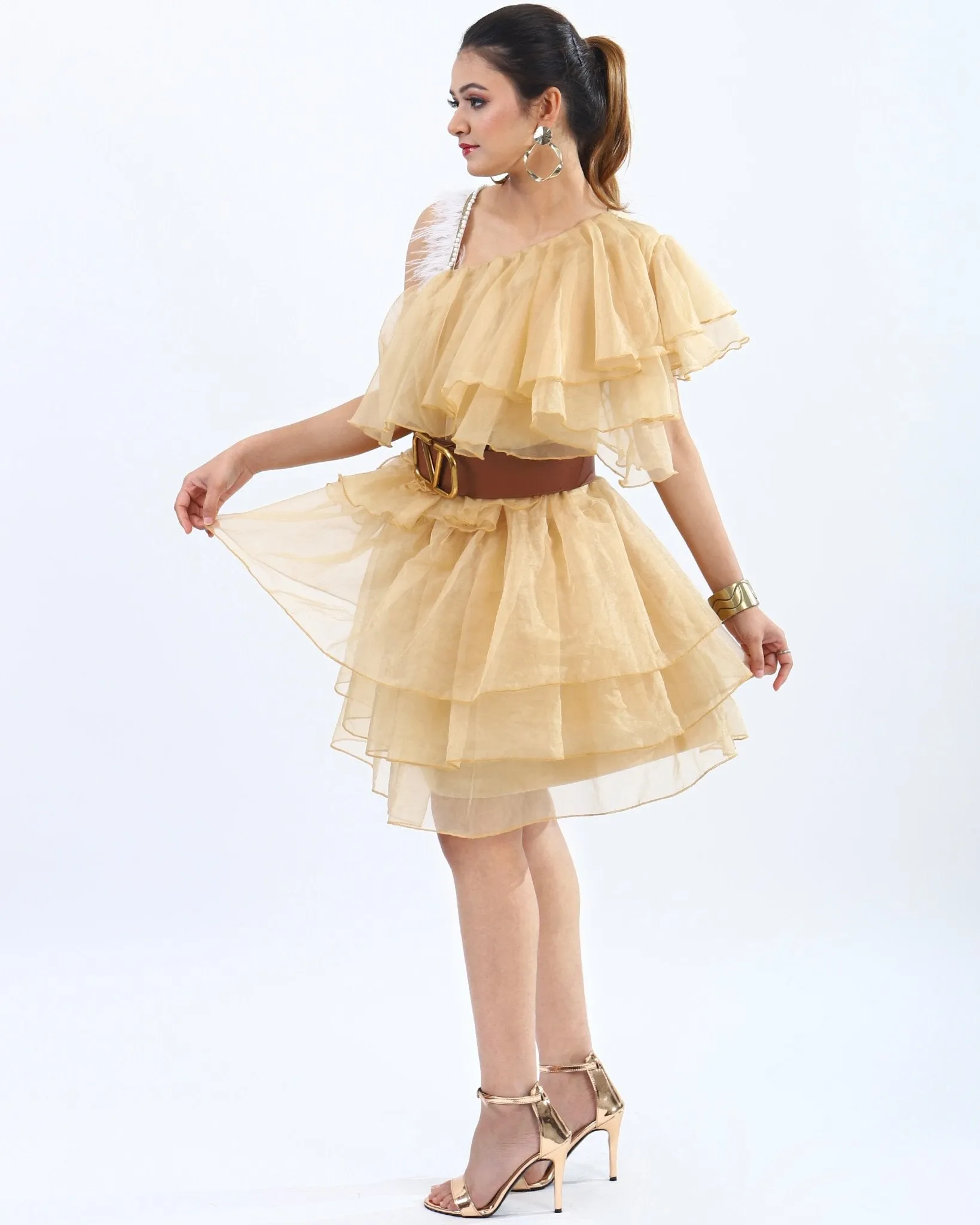 Organza Dress